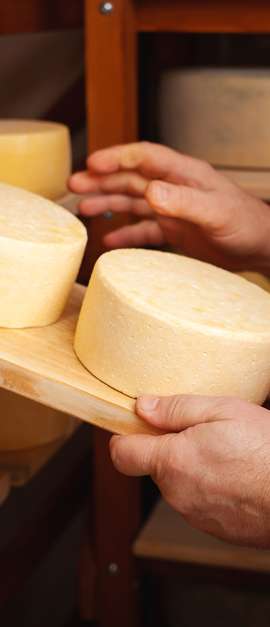 Beneficios del Queso Manchego